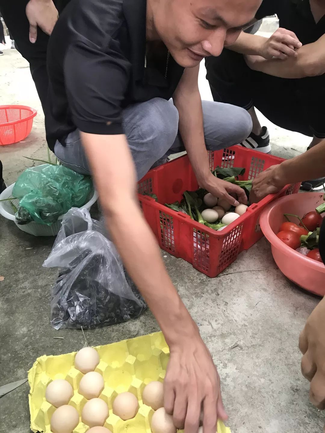  团证书查询入口 
