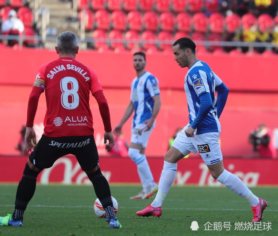  布莱顿利兹联恩怨 -九游足球官网